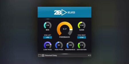 2B Delayed by 2B Played Music