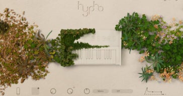 Hypha Is A FREE Holiday Gift From Native Instruments