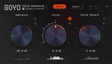 Goyo Voice Separator