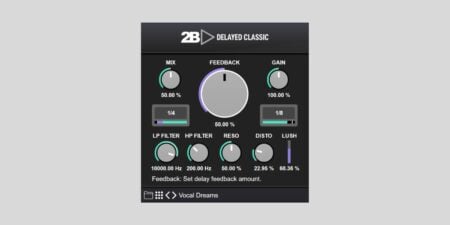 2B Delayed Classic